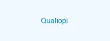 Qualiopi